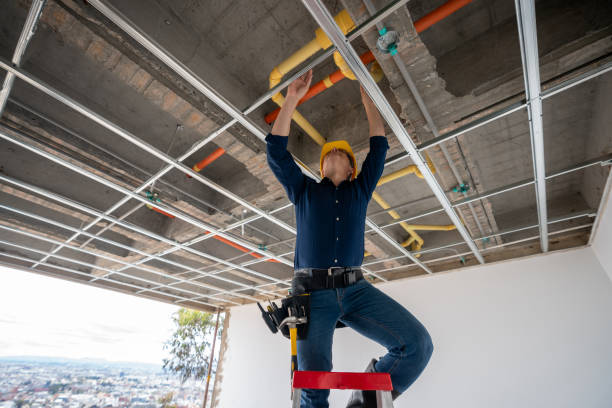 Best Clogged Drain Plumber  in Mountain Lake, MN