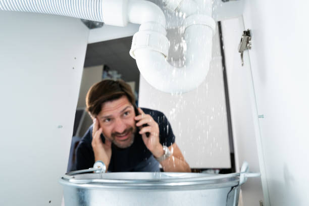 Best Leak Detection Services  in Mountain Lake, MN
