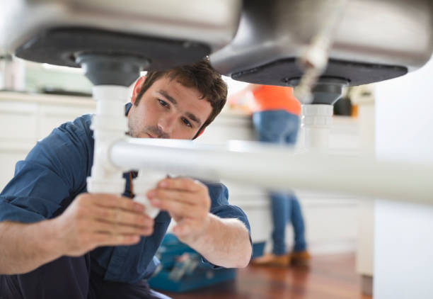 Best Plumbing Inspection Services  in Mountain Lake, MN