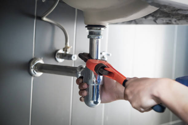 Best Local Plumber Services  in Mountain Lake, MN